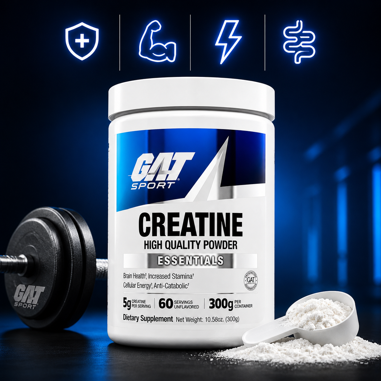 Creatina Monohidratada High Quality Powder 300g Gat Sports